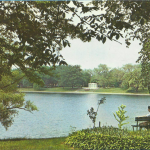 Lake Anna Park